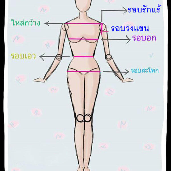 วิธีวัดขนาดตัวก่อนเลือกไซส์